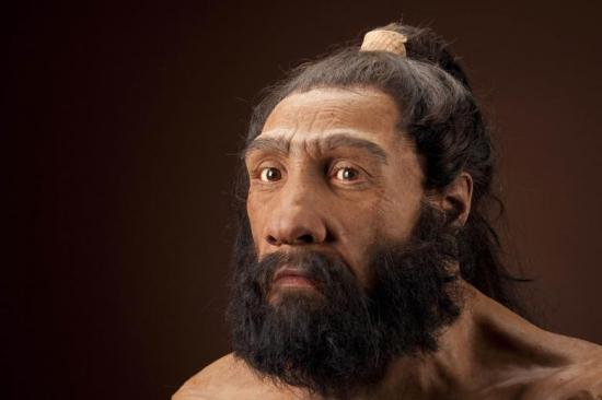 neanderthal 1